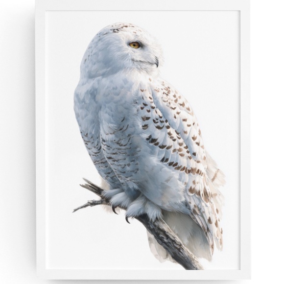Watercolor Snowy Owl Portrait Wall Art Print, Unframed - Mystic Winter Grace - Picture 1 of 6